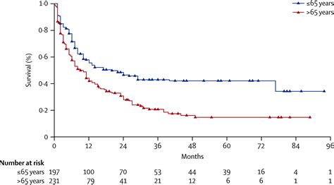 aml survival rate|myeloid leukemia life expectancy.